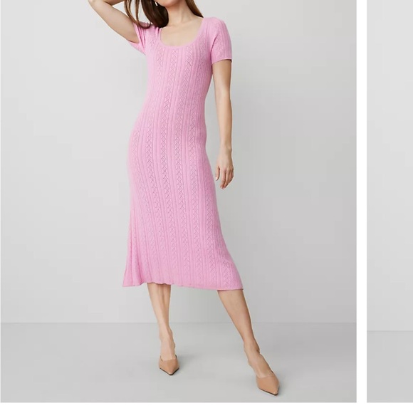 Ann Taylor Pink Scoop Neck Sweater Dress NWT Size Medium - Picture 1 of 9